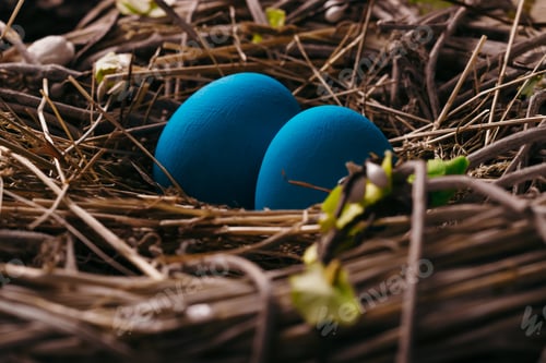 Preview: Blue Easter eggs in bird nest