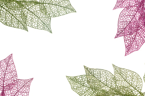 Preview: Christmas decorative green and pink leaves
