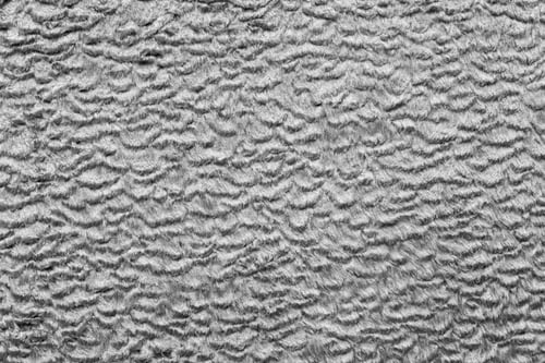 Preview: Abstract Texture Of Gray Color Of Short-Haired Fur Fabric With Wavy Curls For Empty Backgrounds