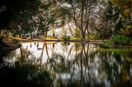 Visualização: Peaceful pond in lush green forest, idyllic nature scene in Los Angeles