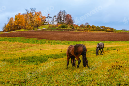 Preview: Horses grazing in an autumn landscape near a historic building in a rural setting