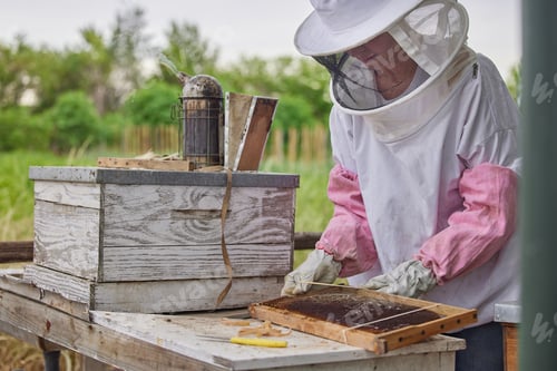 Preview: As busy as a bee