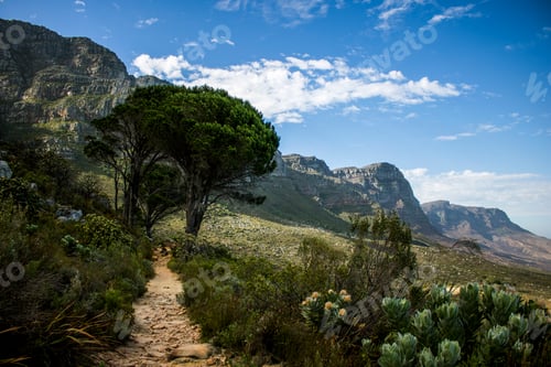 Preview: Beautiful Pipetrack Hike 2 - Cape Town