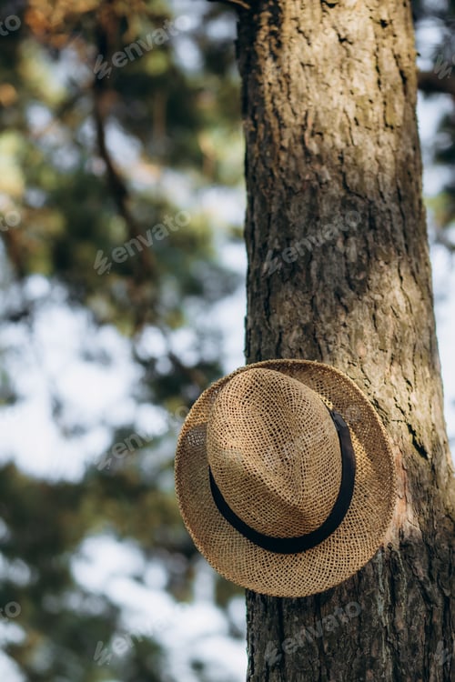 Preview: a woven wooden hat hangs on a tree