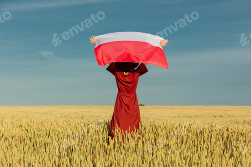 Preview: Girl with Poland flag in wheat field and blue sky on background