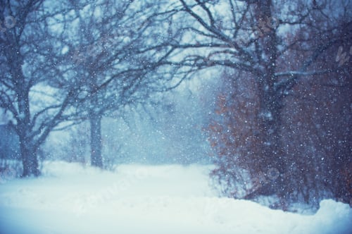 Preview: Blurred christmas background with trees, falling snow