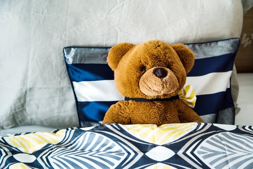Preview: Teddy bear on the bed