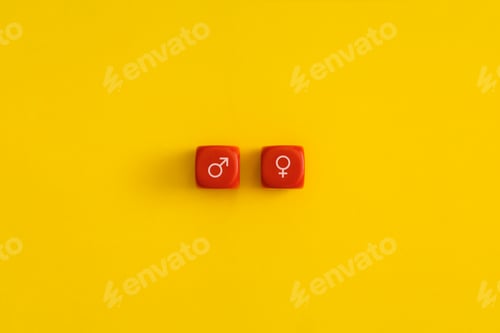 Preview: Male and female gender icons on a red cubes