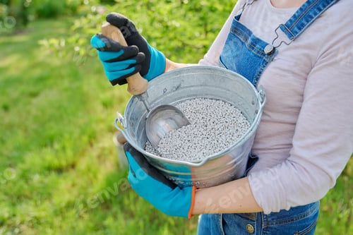 Preview: Close-up of female gardener's hand with iron bucket of granular fertilizer