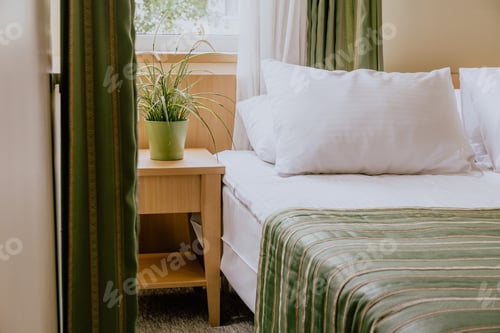 Preview: Small hotel room with a double bed and a bedside table under the window decorated with a plant