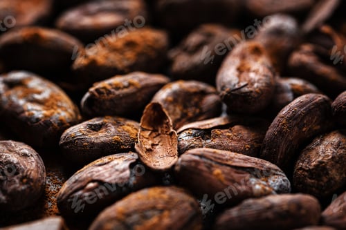 Preview: Cacao beans on plate closeup