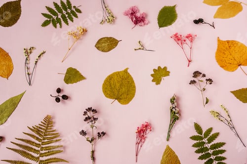 Preview: Dry flowers, branches, leaves and petals pattern.