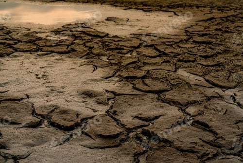 Preview: Cracked Earth Aridity in a Parched Landscape