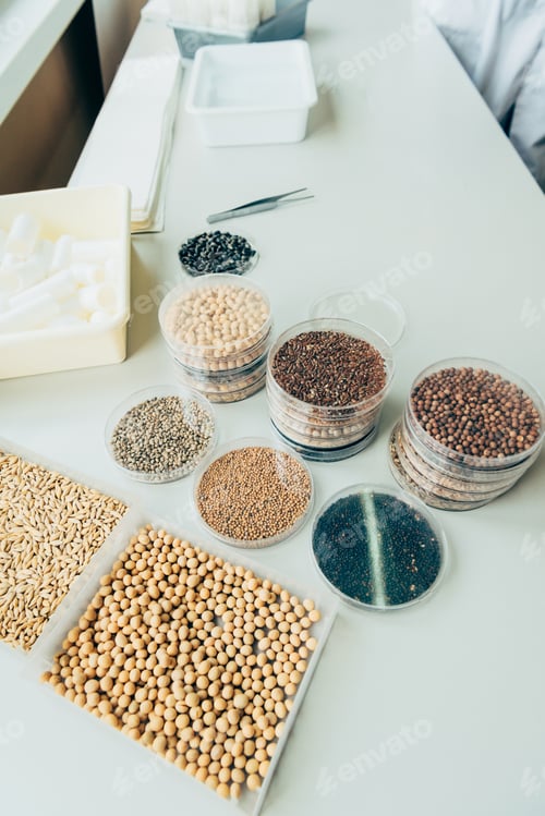 Preview: high angle view of various seeds in plastic containers at table in agro laboratory
