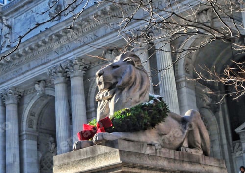Preview: Library Lion NYC