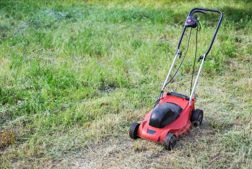 Preview: Lawnmower on green grass in the garden