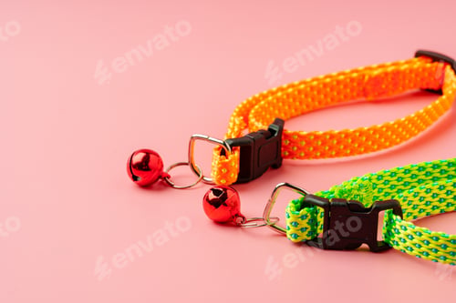 Preview: Textile pet collar on pink background studio photo