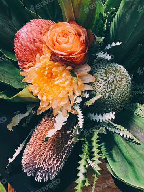 Preview: Beautiful exotic flowers