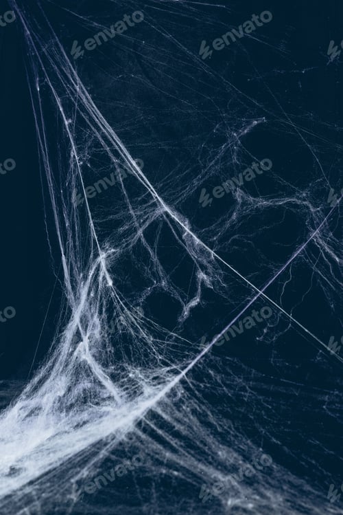 Preview: creepy halloween background with spider web