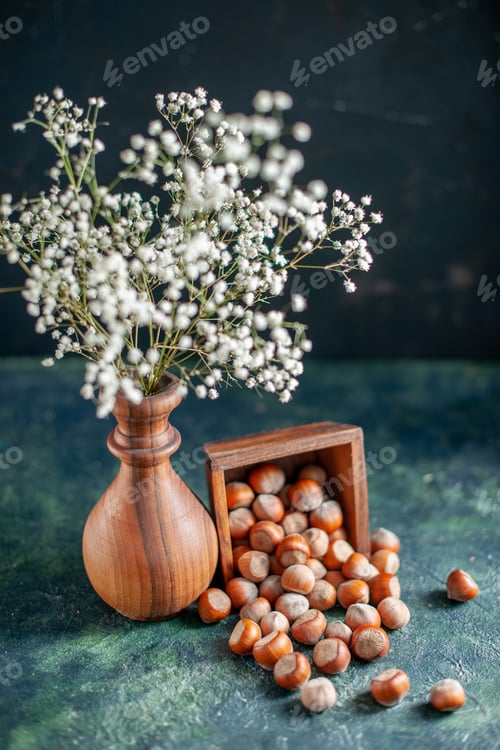 Preview: front view fresh hazelnuts on a dark-blue background shell nut cips photo walnut peanut color snack