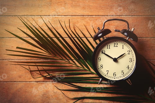 Preview: Vintage alarm clock and palm leaves on wooden table.