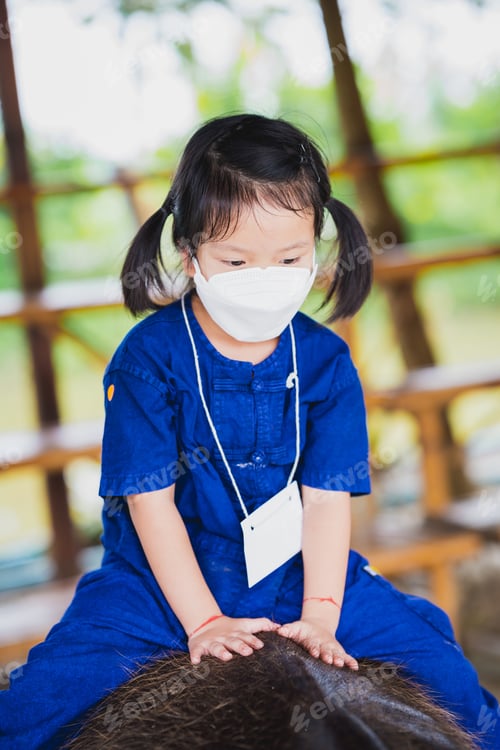 Preview: Portrait Asian kid girl riding on back of black buffalo. Child wear white face mask.
