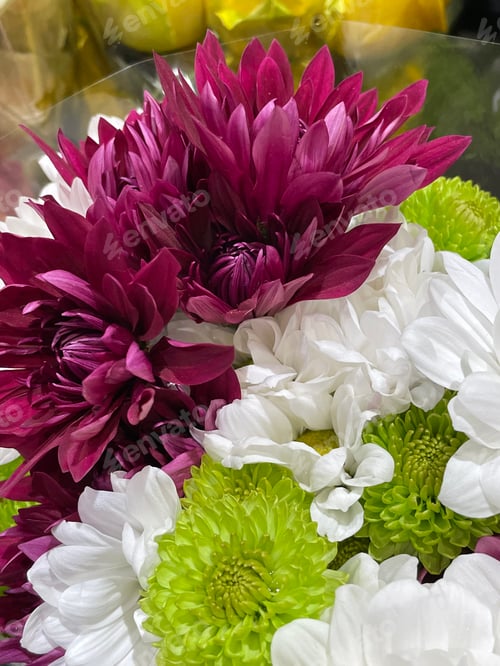 Preview: Flowers