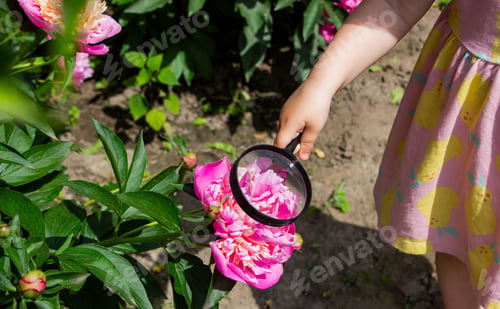 Preview: little girl looking at flowers in the garden through a magnifying glass. Selective focus