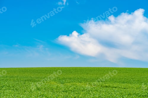 Preview: Green hill with dreamy clouds and blue sky in the background.