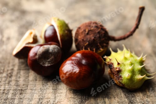 Preview: Horse chestnuts on wooden table, closeup view
