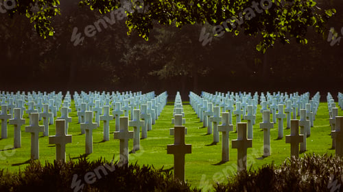 Preview: Crosses
