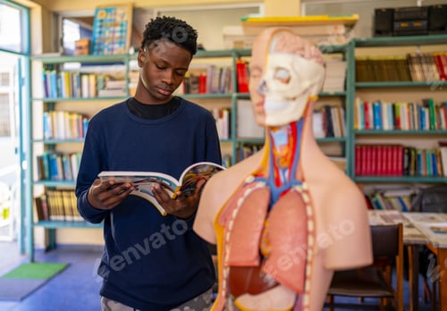Preview: Student reading human anatomy book in classroom