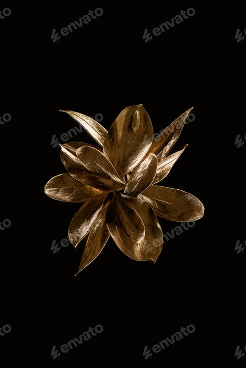 Preview: top view of golden metal decorative flower isolated on black