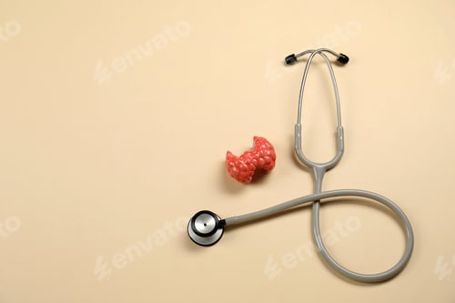 Preview: Endocrinology. Stethoscope and model of thyroid gland on beige background, top view. Space for text