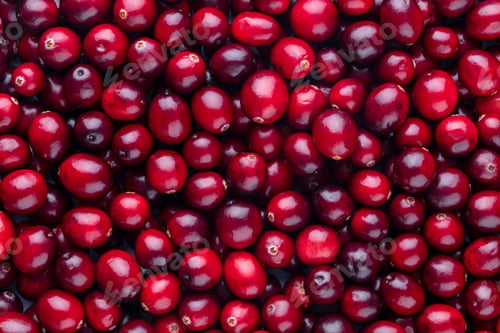 Preview: Cranberry bio background, food background.