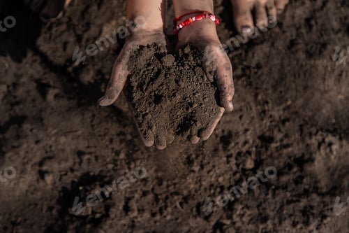 Preview: The child holds soil in the garden. Selective focus.