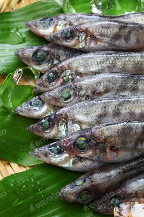 Preview: japanese green eyes fish, Mehikari