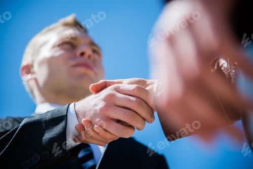 Preview: A Man In A Business Suit Shaking Hands With A Client After A Successful Transaction