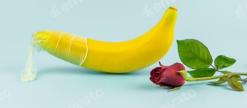 Preview: Red Rose flower, Used Condom and banana on blue background. Safe sex and love concept