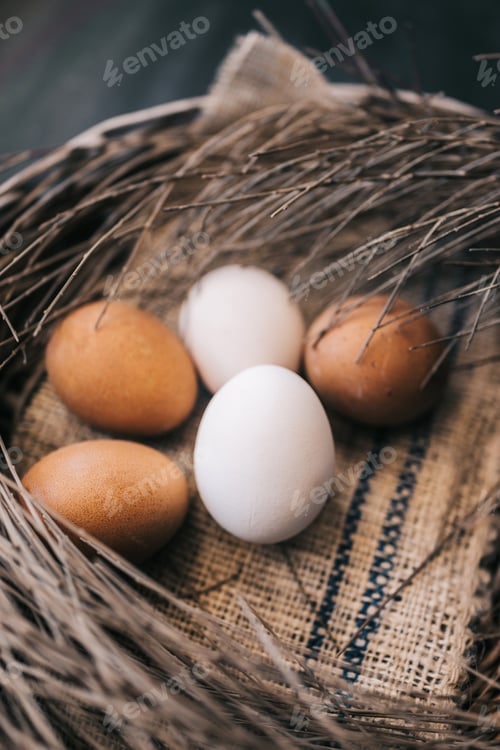 Preview: Five eggs