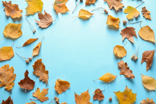 Preview: Flat lay composition with autumn leaves on light blue background. Space for text