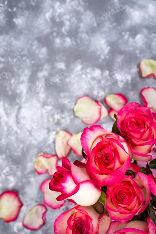 Preview: Frame of Red white rose flower bouquet on stone table.