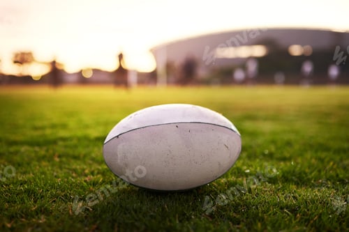 Preview: Cropped shot of a rugby ball on an empty rugby field during the early hours of the morning