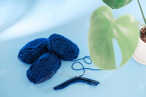Preview: Blue Yarn with Knitting Needles and Plant