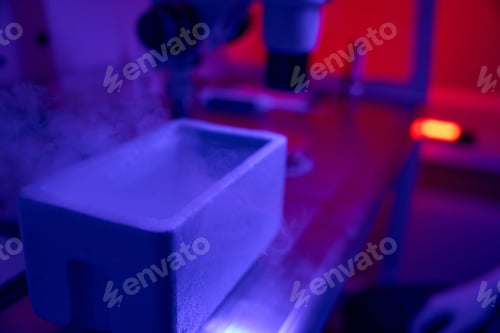 Preview: Cuvette with liquid nitrogen for vitrification of embryos