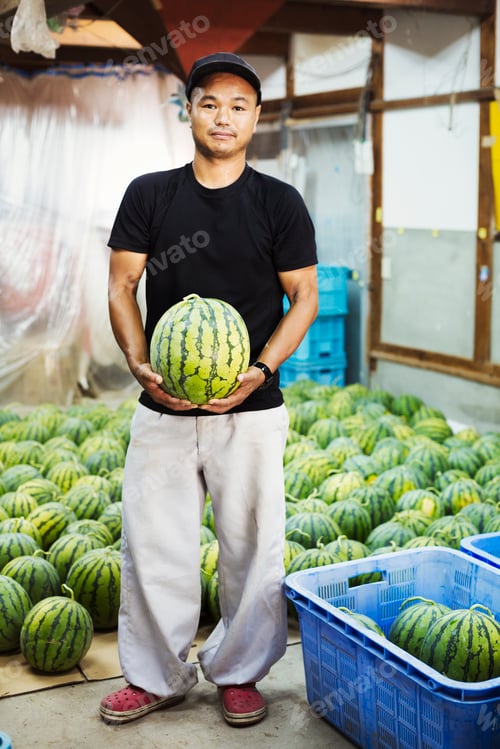 Preview: Worker in a greenhouse holding a watermelon.