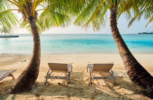 Preview: Tropical beach with loungers and palm trees