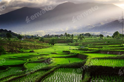 Preview: Beautiful morning view indonesia Panorama Landscape with beauty color