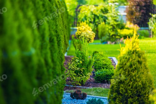 Preview: Beautiful Green Garden