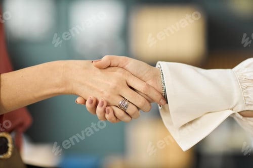 Preview: Women Shaking Hands in Business Agreement